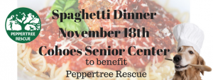 Spaghetti Dinner @ Cohoes Senior Citizen Center