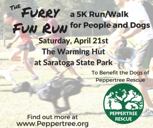 Furry Fun Run - 5k Walk/Run for People and Dogs! @ The Warming Hut at the Saratoga Springs State Park
