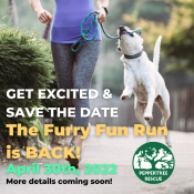 The Furry Fun Run is Back!