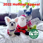 Holiday Appeal 2022