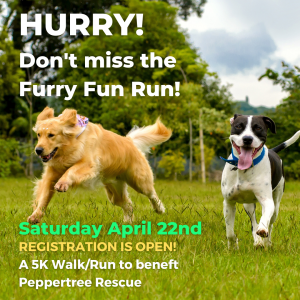 Furry Fun Run/Walk (5K for People and Dogs) @ The Warming Hut at Saratoga Springs State Park