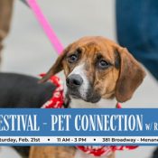 Pet Adoption Festival at Menands Market Pavillion