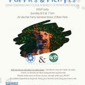 Puppies & Pilates August 2