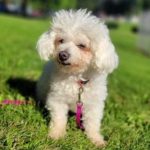 Daisy Mae